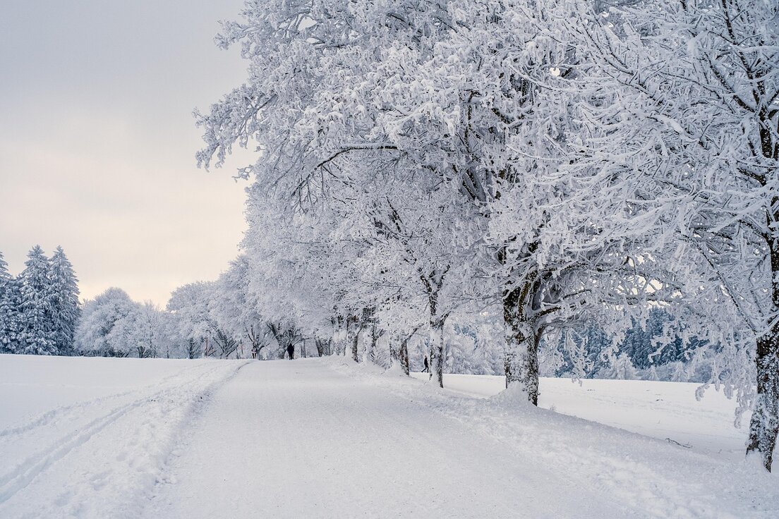 Pneumatici invernali Bridgestone sulla neve